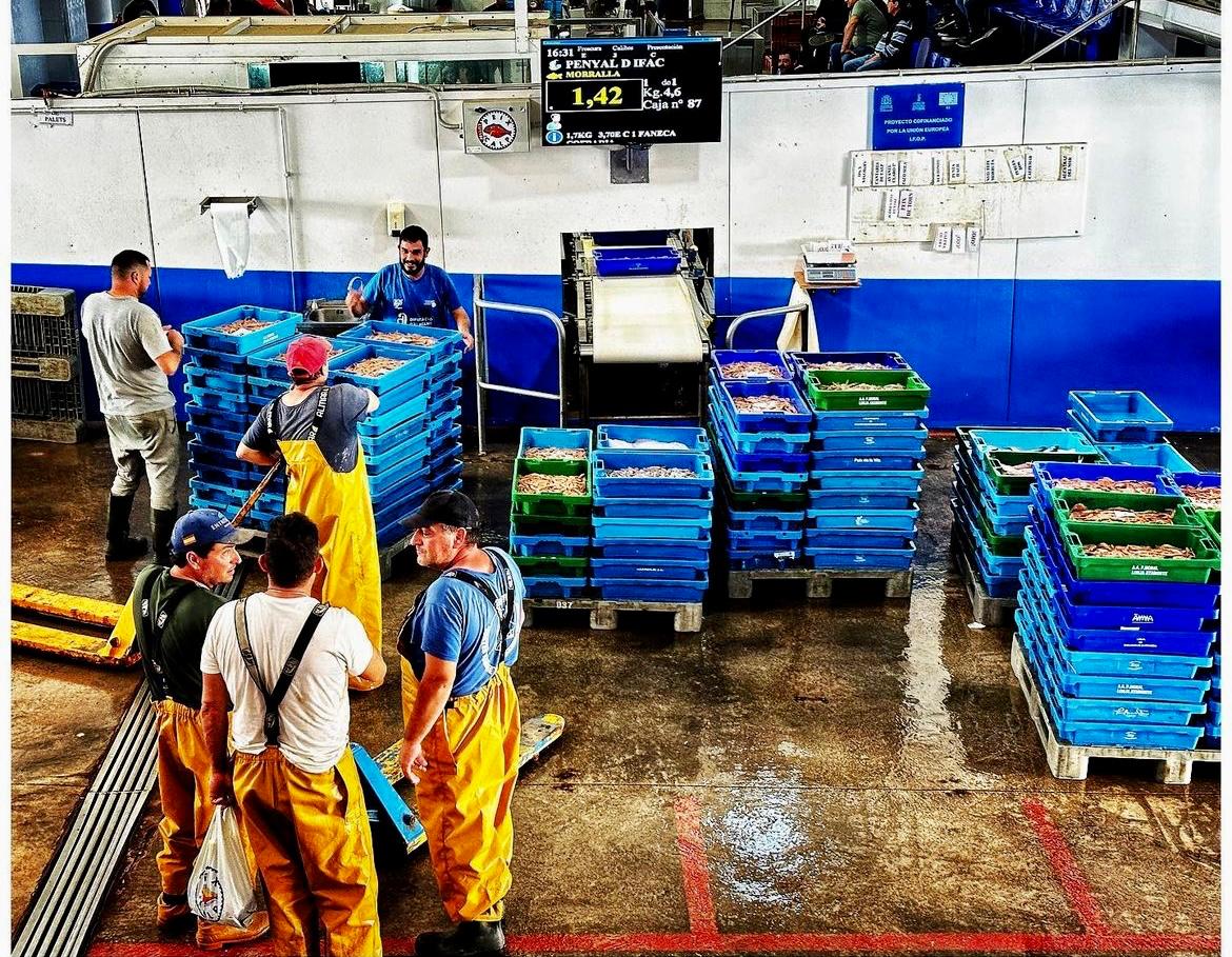 Lonja de pescado Calpe - Foto de de la Cofradia de Pescadores Calpe - www.experienciascostablanca.com