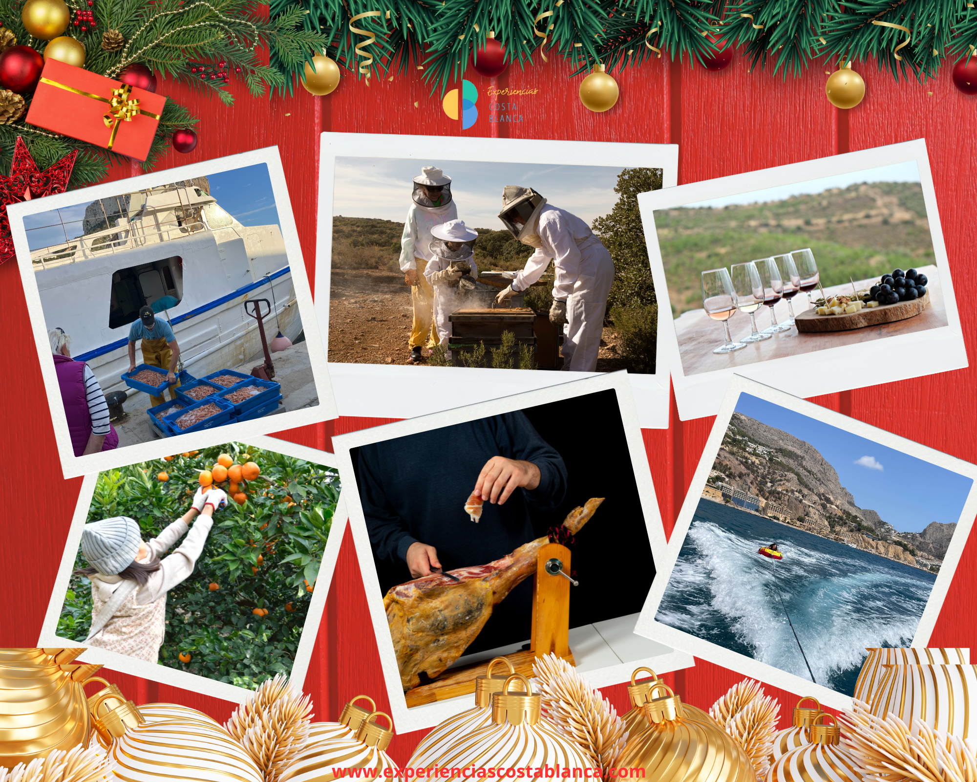 10 ideas de REGALOS perfectos para esta Navidad - Sorprende con una Experiencia única en la Costa Blanca - www.experienciascostablanca.com